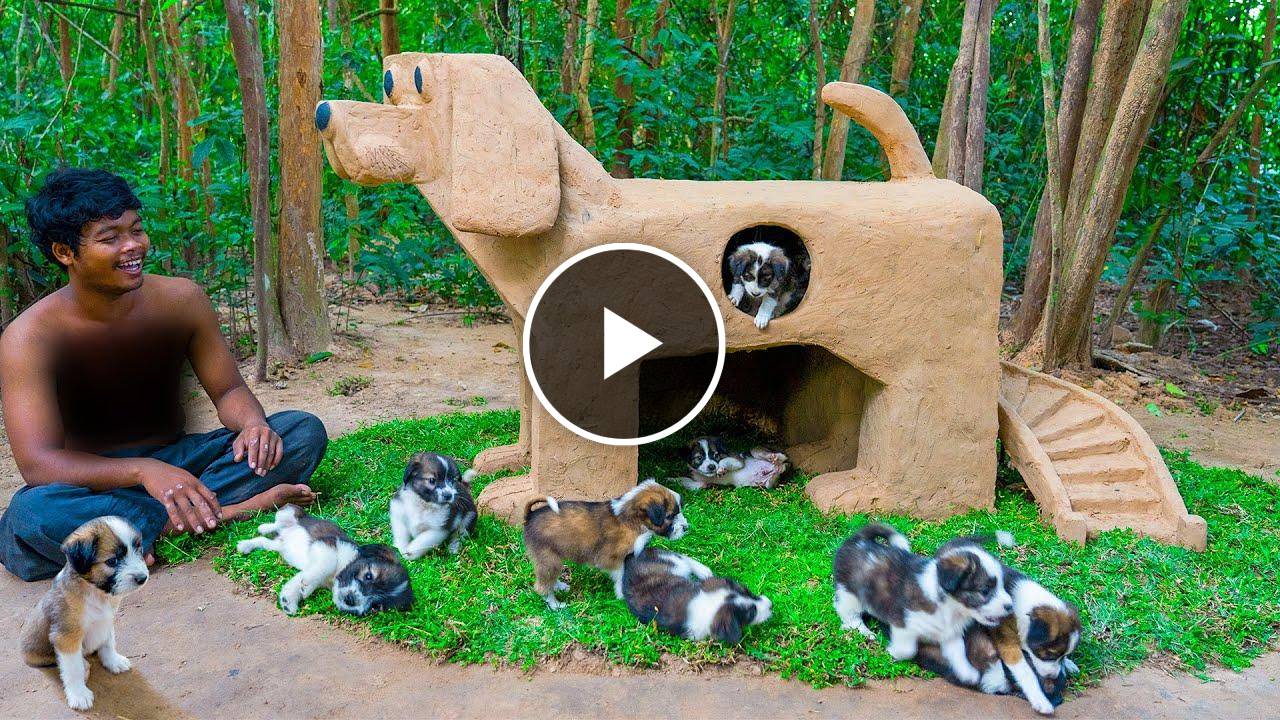 Build Mud Dog House For a Month Old Rescued Puppies In Dog Style