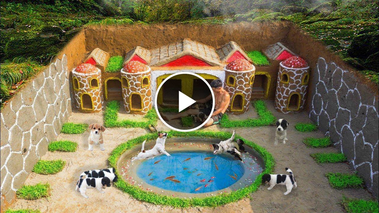 Rescue Abandoned Puppies Build Underground House For Dog And Fish Pond Around House