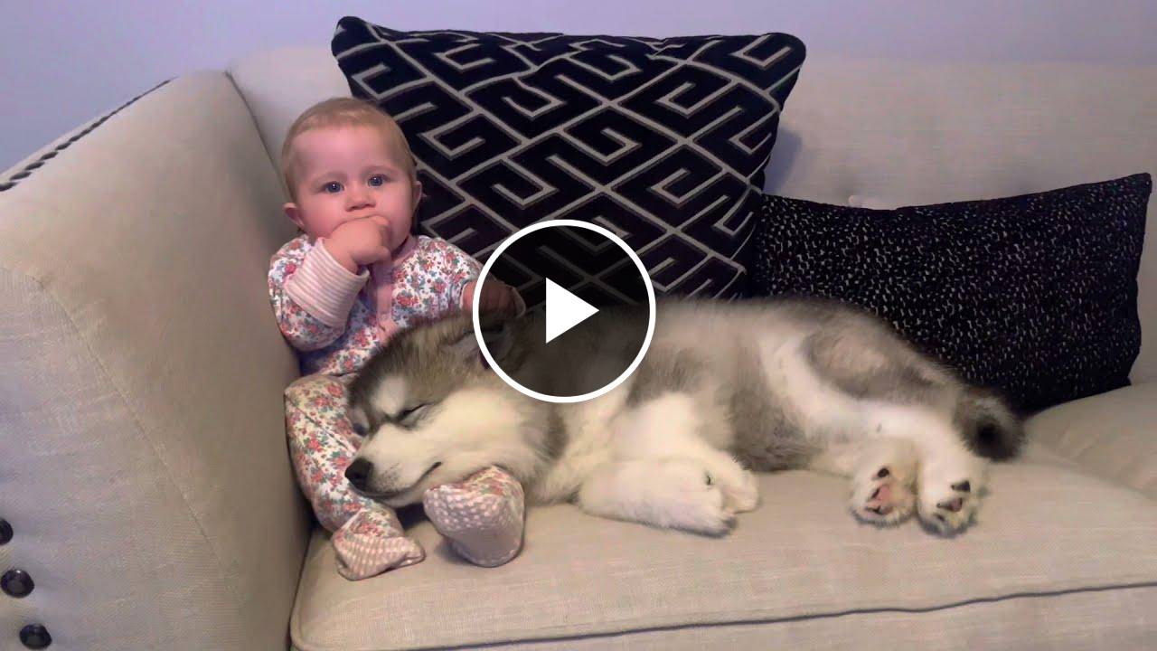 The Best Year Of Our Lives! Baby And Puppy Growing Up Together! (Cutest Ever!!)
